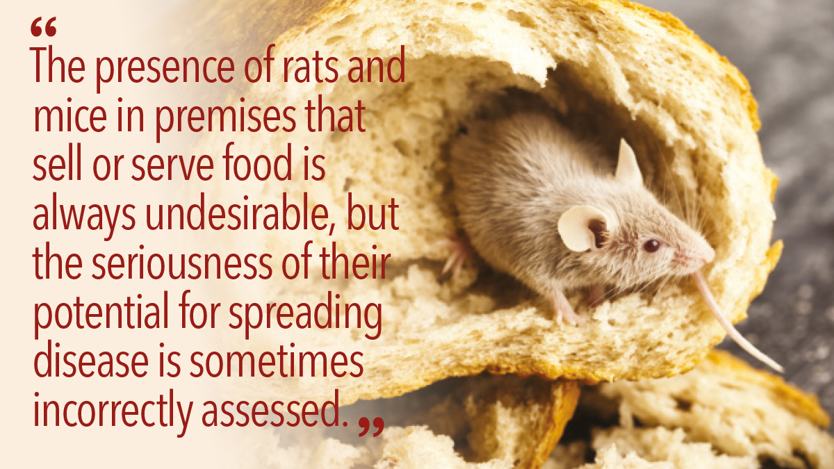 The presence of rats and mice in premises that sell or serve food is always undesirable